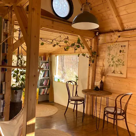 Susarna V Zahrade S Vuni Bylinek